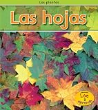 Cover for 9781432941871