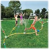 Fisher Price Froggy Fun Sprinkler