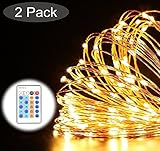 RUICAIKUN イルミネーション 防水ライト 50ft 100球LEDライト リモコン付き 屋外ガーデン クリスマスツリー飾り LED ジュエリーライト LED ワイヤーライト 飾り/電飾 (ウォ
