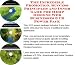 The Incredible Promotion, Success Principles and Inner Game for Hemp Designs Web Businesses 3 CD Power Pack