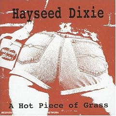 A Hot Piece of Grass