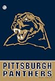 Pittsburgh Panthers NCAA 28 x 40 Vertical Flag