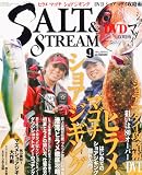 SALT & STREAM (ソルトアンドストリーム) 2010年 09月号 [雑誌]