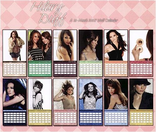 Sexy Hilary Duff DVD 2008 Wall Calendar