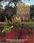 Native Texas Plants: Landscaping Region by Region