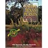 Native Texas Plants: Landscaping Region by Region