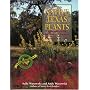 Native Texas Plants: Landscaping Region by Region