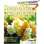 David Austin's English Roses: Glorious New Roses for American Gardens