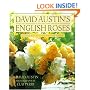 David Austin's English Roses: Glorious New Roses for American Gardens