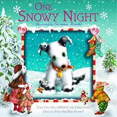 One Snowy Night