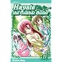 Hayate the Combat Butler, Volume 11