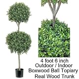 Artificial Outdoor Indoor 4 foot 6 inch Boxwood 2 Ball Topiary Tree, branches on real wood trunk, packed with peanuts