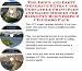 The Down and Dirty Generate Extra Cash, Godfather Principles and Sales Models for Basketry Businesses 3 CD Combo Pack