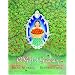 A Gift of Gracias: The Legend of Altagracia