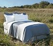 Organic Cotton Pillowcases - King (White)