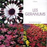 Les géraniums Les géraniums