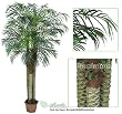 ONE Pre-Potted 8' Artificial Phoneix Robellini Palm Tree