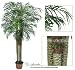 ONE Pre-Potted 8' Artificial Phoneix Robellini Palm Tree