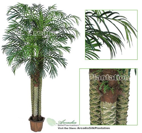 ONE Pre-Potted 8' Artificial Phoneix Robellini Palm Tree