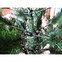 Snowtime CT05289AM K�nstlicher Weihnachtsbaum West&hellip von Trans-Continental Group Ltd.
