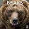 Bears . . & Polar Bears . . in 2012 Calendars !