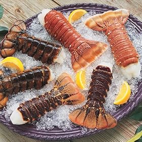 Sweetest Tail Sampler