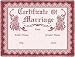 Certificate of Marriage Rose - 69 x 48 Blanket/Throw