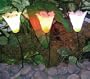 Solar Tulip Lights (Set of three)