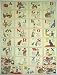 Cavallini Decorative Paper- Vintage Illustrated ABC