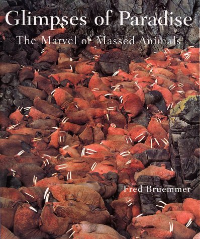 Glimpses of Paradise: The marvel of massed animals