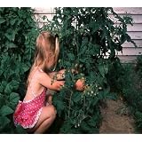 The Complete Guide to Home Gardening & Gardening Design