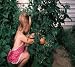 The Complete Guide to Home Gardening & Gardening Design