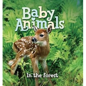 Baby Animals In the Forest