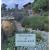 The Gardens of Gertrude Jekyll