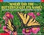 Where Did The Butterfly Get Its Name?