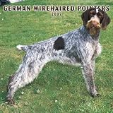German Wirehaired Pointers 2007 Calendar