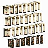�ֻ�Ԣ�֡���14���ֻ���ֱ������7�� ����ץ꡼�ȥ��å� DVD35����(1WeekDVD)