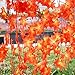 CrazyDeal 7.54ft Artificial Ivy Red Leaf Garland Plant Vine Fake Foliage Flower Home Decor Useful charming