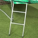 Mad Dash Trampoline Ladder