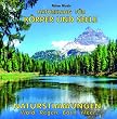 Naturstimmungen Wald Regen Bach Meer (ohne Musik) - Naturkl�nge f�r K�rper und Seele - Naturger�usche f�r Meditation Wellness und Tiefenentspannung