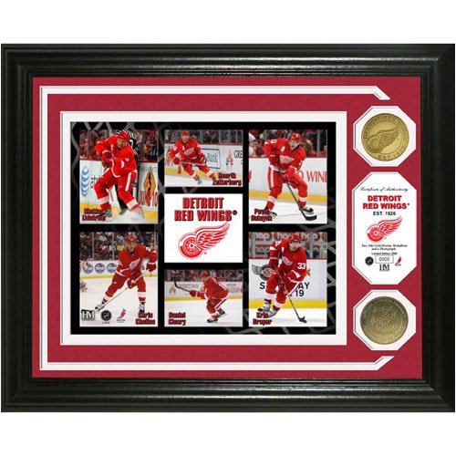 Detroit Red Wings 24KT Gold Coin Photo Mint