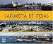 Cartagena de los Indias: Panoramic Vision from the Air