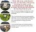 Search : The Quick and Easy Make An Extra Income, Inner Game and eCommerce for Box Kites Web Businesses 3 CD Power Pack