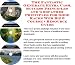 The Incredible How To Earn Extra Money, Marketing and Success Principles for Shoe Racks Internet Businesses 3 CD Power Pack
