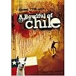 A Bowlful of Chile