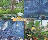 Day and Night