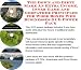 Search : The Down and Dirty Make An Extra Income, Inner Game and Godfather Principles for Wood Boxes Web Businesses 3 CD Power Pack