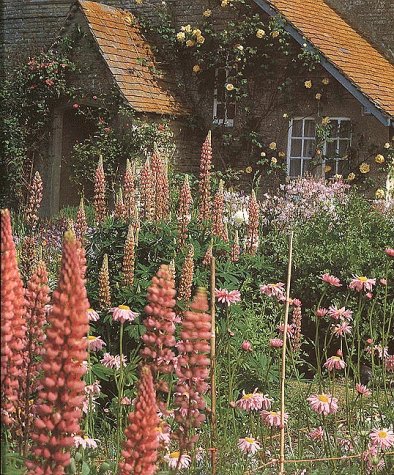 The Cottage Garden