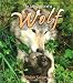 The Life Cycle of a Wolf (Life Cycle)