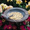 Dragonfly Garden Bird Feeder